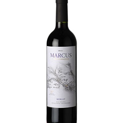 Marcus Merlot