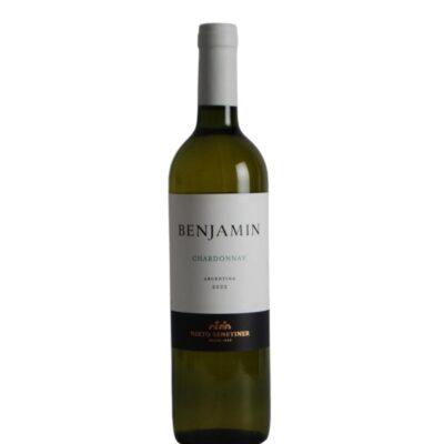 Benjamin Nieto Senetiner Chardonnay