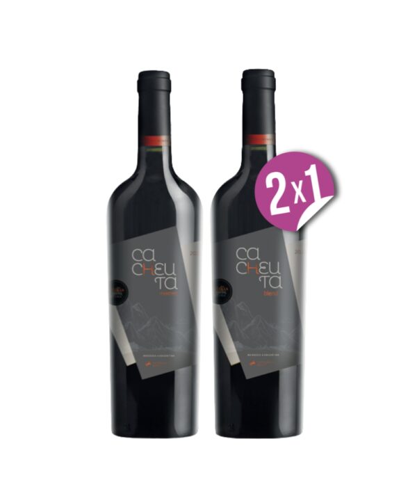 PROMO CACHEUTA GRAN RESERVA 2X1